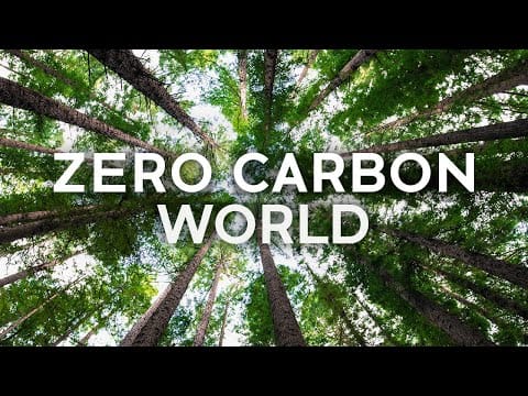Zero Carbon World
